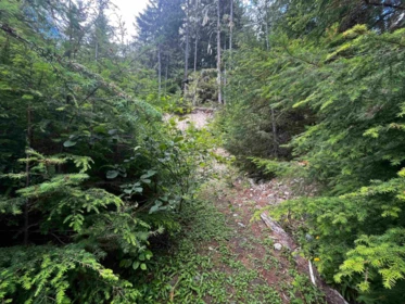 14953 Parkwood Street, Sunshine Valley, BC, Sunshine Valley — Land for sale
