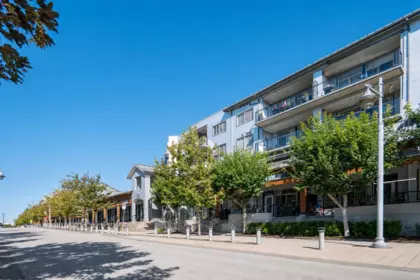 Garden / Landscaping Photo of 1 6233 London Road, Richmond, BC