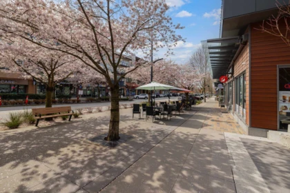 Street View Photo of 316 20728 Willoughby Town Centre Drive, Langley, BC