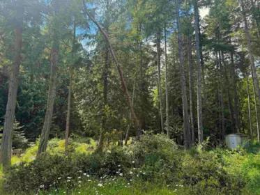 Front Yard Photo of 448 Burrill Road, Galiano Island, BC