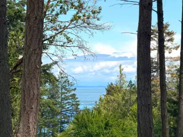 Neighborhood Park Photo Near 448 Burrill Road, Galiano Island, BC
