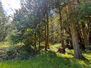Outdoor Patio Photo of 448 Burrill Road, Galiano Island, BC