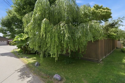 1291 Morris Crescent, Delta, BC, Delta — Single Family Residence for sale