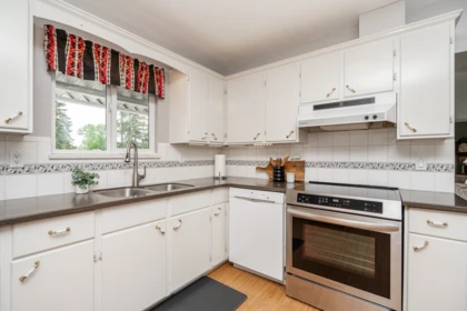 Kitchen Island Photo of 259 College Park Way, Port Moody, BC