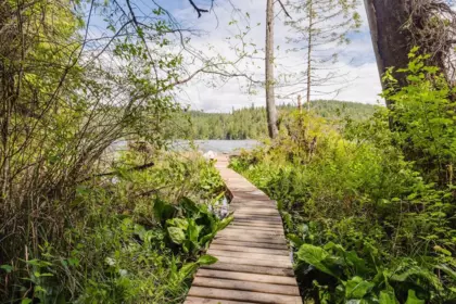 Street View Photo of 6084 North Lake Road, Egmont, BC