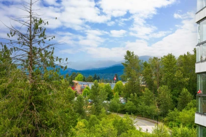 Garden / Landscaping Photo of 413 11641 227 Street, Maple Ridge, BC