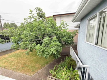 Outdoor Patio Photo of 2458 E 5th Avenue, Vancouver, BC