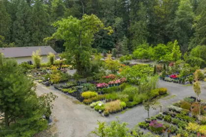 Hot Tub / Spa Photo of 511 176 Street, Surrey, BC