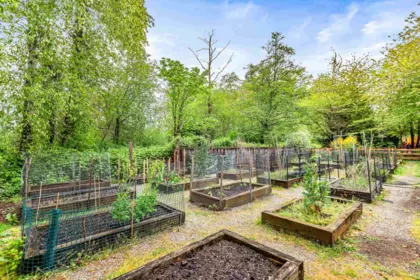 Garden / Landscaping Photo of 82 18983 72a Avenue, Surrey, BC