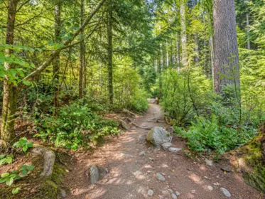 Outdoor Kitchen Photo of 167 Fernway Drive, Port Moody, BC