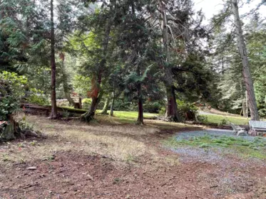 Family Room Photo of 610 Tumbo Channel Road, Saturna Island, BC