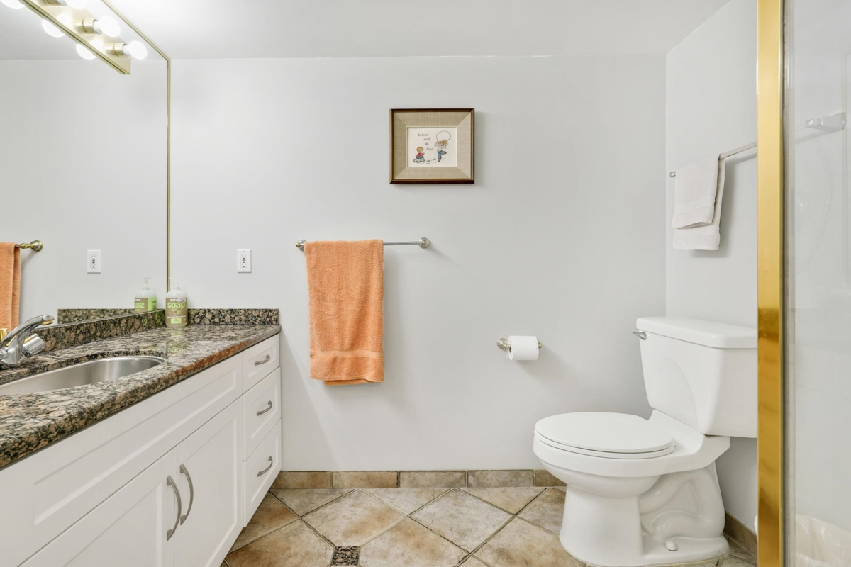 Basement Recreation Room Photo of 2003 121 Tenth Street, New Westminster, BC