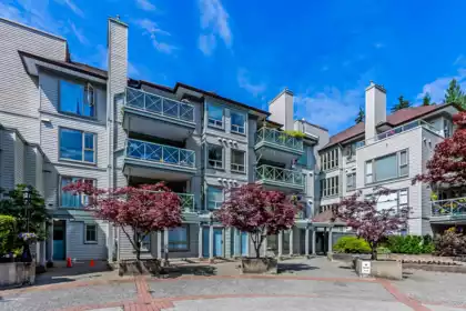 110 3658 Banff Court, North Vancouver, BC, North Vancouver — Apartment/Condo for sale