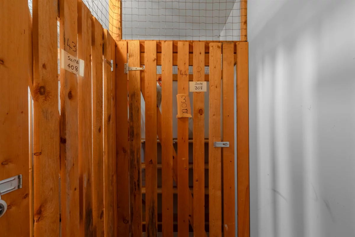 Loft / Bonus Room Photo of 308 12155 75a Avenue, Surrey, BC