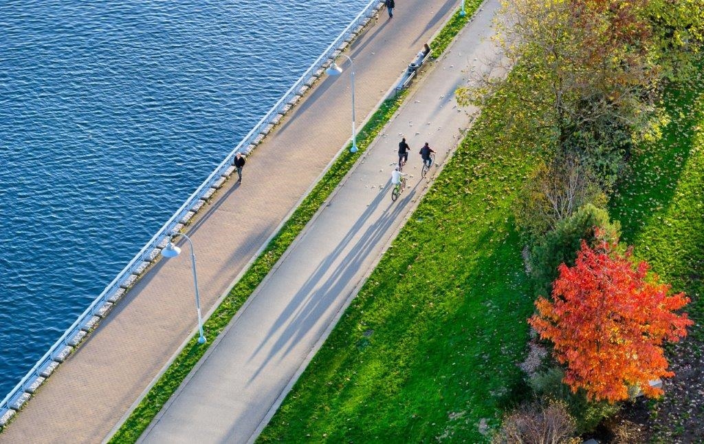 Loft / Bonus Room Photo of 2005 8 Smithe Mews, Vancouver, BC