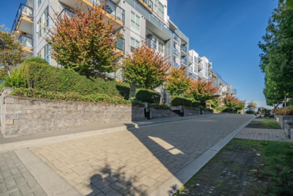 208 10177 River Drive, Richmond, BC, Richmond — Apartment/Condo for sale