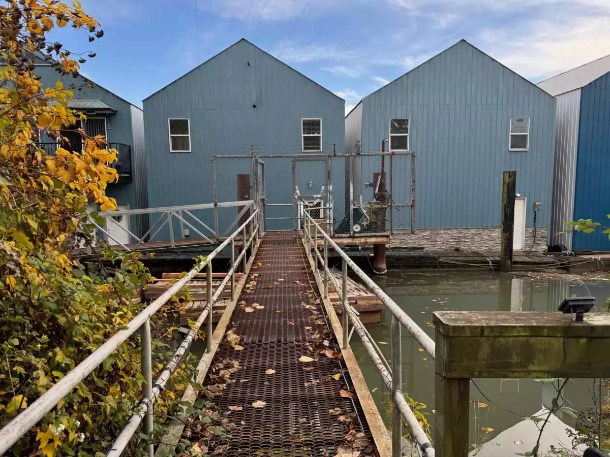 Exterior Rear Photo of 4 23226 Dyke Road, Richmond, BC