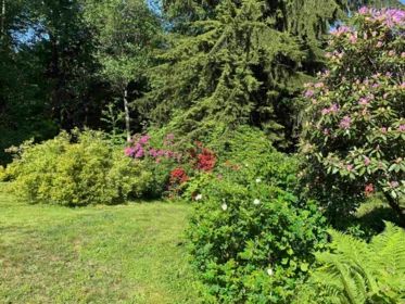 Pantry Photo of 33845 Richards Avenue, Mission, BC