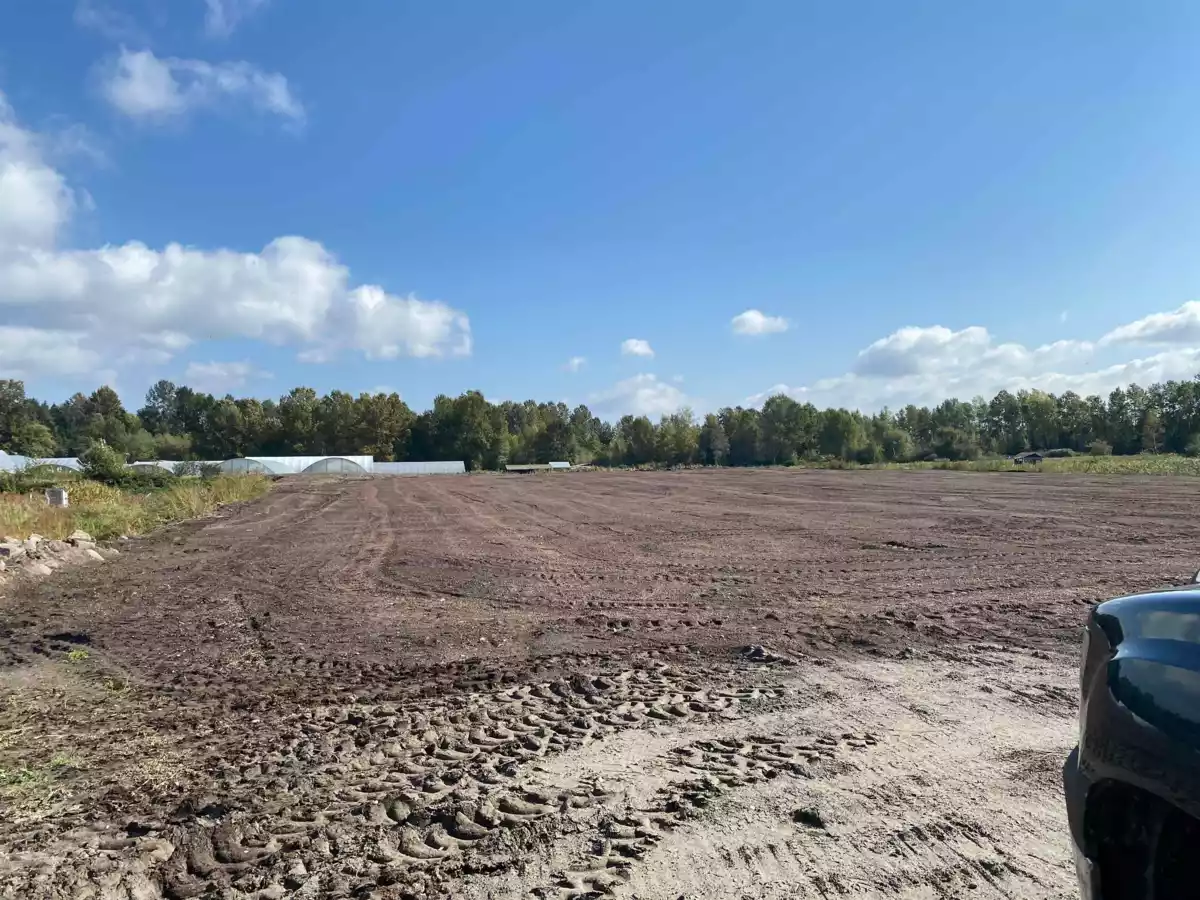 Exterior Rear Photo of 8646 Mandeville Avenue, Burnaby, BC