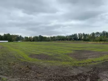 8646 Mandeville Avenue, Burnaby, BC, Burnaby —  bed land for sale