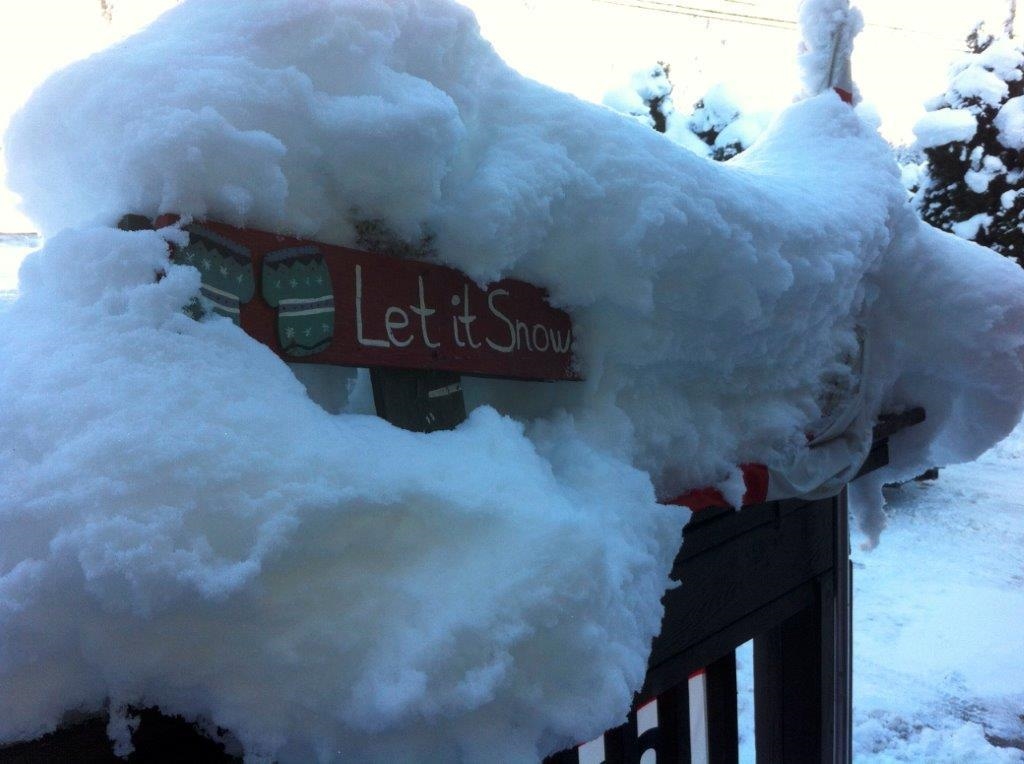 Backyard Photo of SVE29 Old Hope Princeton Highway, Sunshine Valley, BC