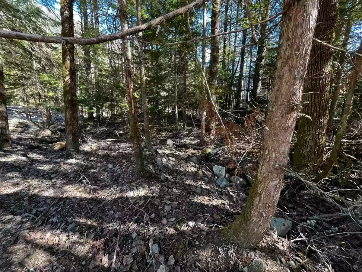 Bedroom 3 Photo of SVE29 Old Hope Princeton Highway, Sunshine Valley, BC