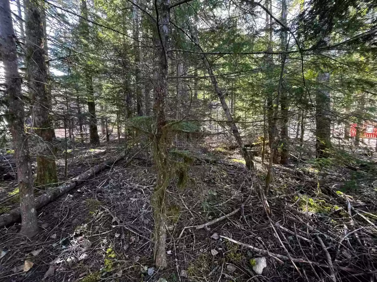 Breakfast Nook Photo of SVE29 Old Hope Princeton Highway, Sunshine Valley, BC
