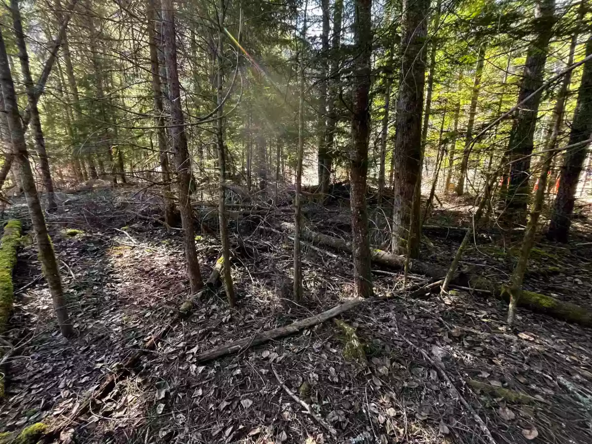 Primary Bathroom Photo of SVE29 Old Hope Princeton Highway, Sunshine Valley, BC