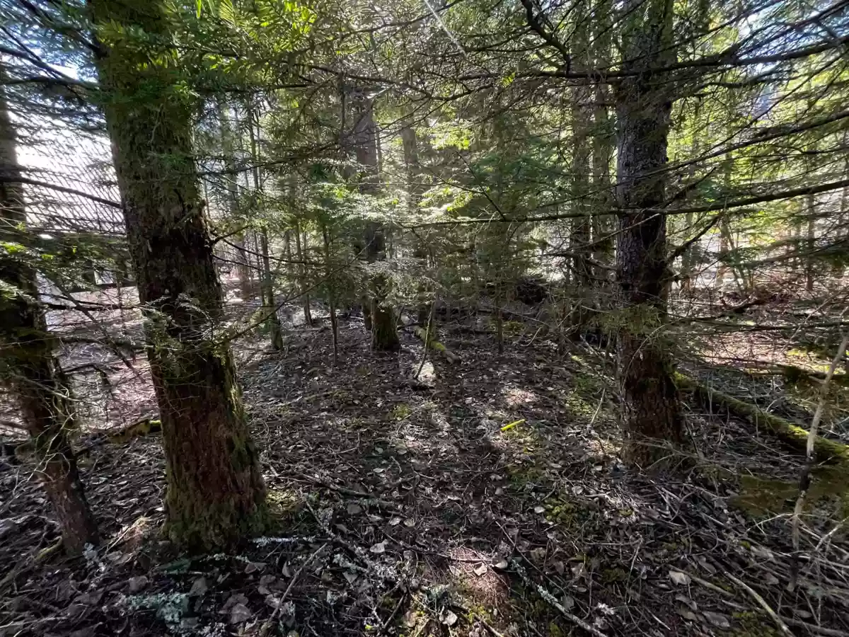 Primary Bedroom Photo of SVE29 Old Hope Princeton Highway, Sunshine Valley, BC