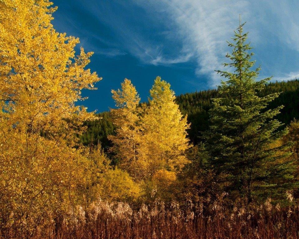 Street View Photo of SVE29 Old Hope Princeton Highway, Sunshine Valley, BC