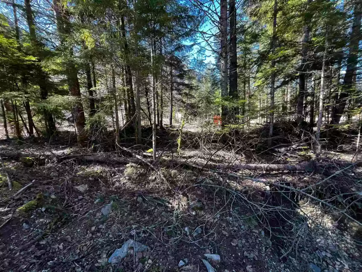 Walk-In Closet Photo of SVE29 Old Hope Princeton Highway, Sunshine Valley, BC