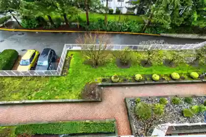 Backyard Photo of 505 11605 227 Street, Maple Ridge, BC