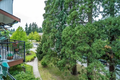 Entry Foyer Photo of 405 16068 83 Avenue Avenue, Surrey, BC