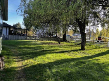9894 156 Street, Surrey, BC, Surrey — Single Family Residence for sale