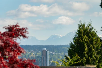 Backyard Photo of 330 Richmond Street, New Westminster, BC