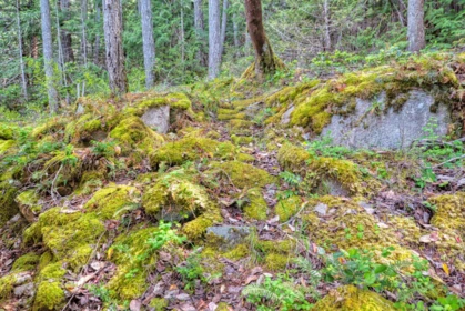 Front Yard Photo of 6761 Sandy Hook Trail, Sechelt, BC