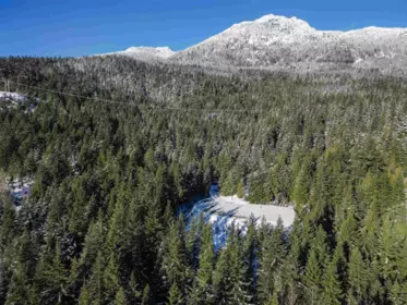Primary Bedroom Photo of 5408 Stonebridge Drive, Whistler, BC