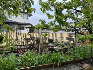 Breakfast Nook Photo of 22551 Rathburn Drive, Richmond, BC