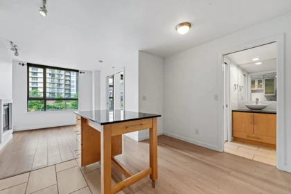 Entry Foyer Photo of 509 1225 Richards Street, Vancouver, BC