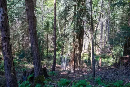 Street View Photo of 4746 Bosun Way, Pender Island, BC