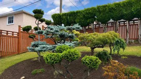 Neighborhood Park Photo Near 2965 E 8th Avenue, Vancouver, BC