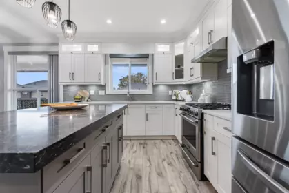 Pantry Photo of 10169 246a Street, Maple Ridge, BC