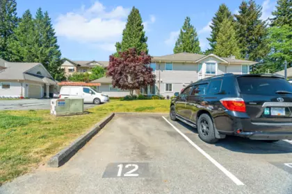Swimming Pool Photo of 206 16031 82 Avenue, Surrey, BC