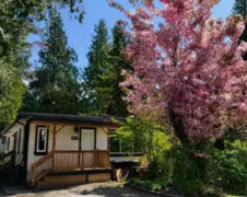 203 1830 Mamquam Road, Squamish, BC