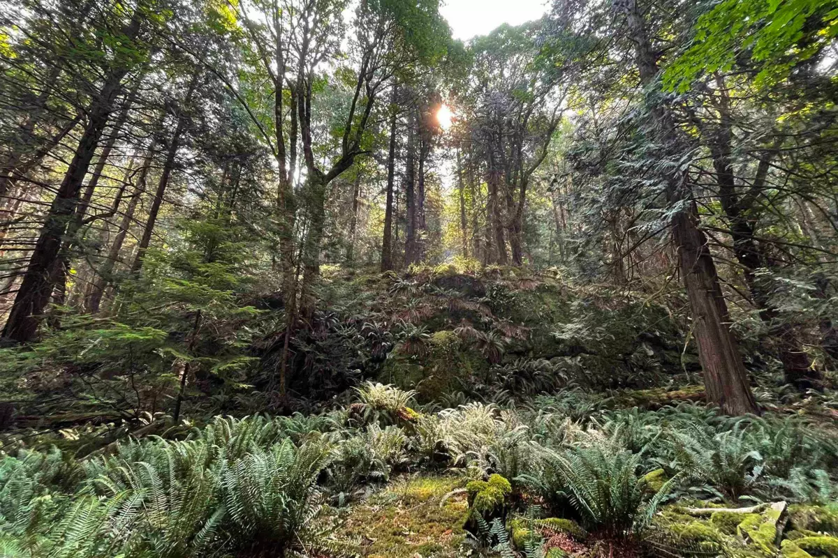Outdoor Patio Photo of 1558 Mount Gardner Road, Bowen Island, BC