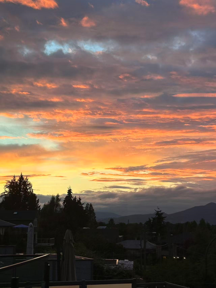 Neighborhood Park Photo Near 2863 W King Edward Avenue, Vancouver, BC