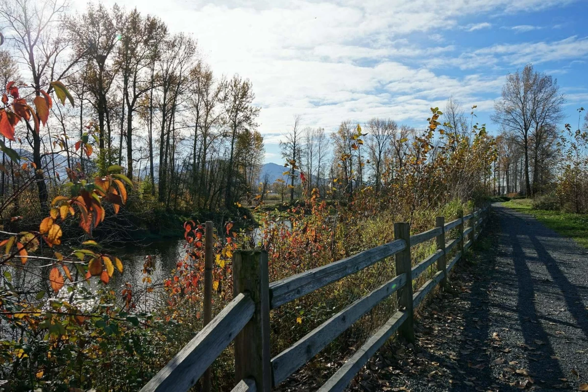 Aerial View of 17 8200 Foxfern Road, Chilliwack, BC
