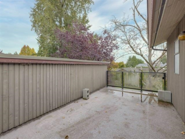 Backyard Photo of 18208 21a Avenue, Surrey, BC