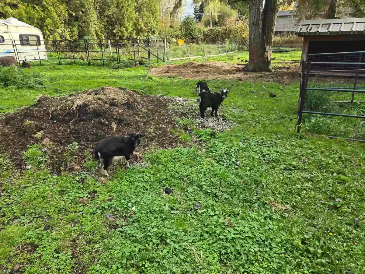 Bedroom 2 Photo of 2617 208 Street, Langley, BC