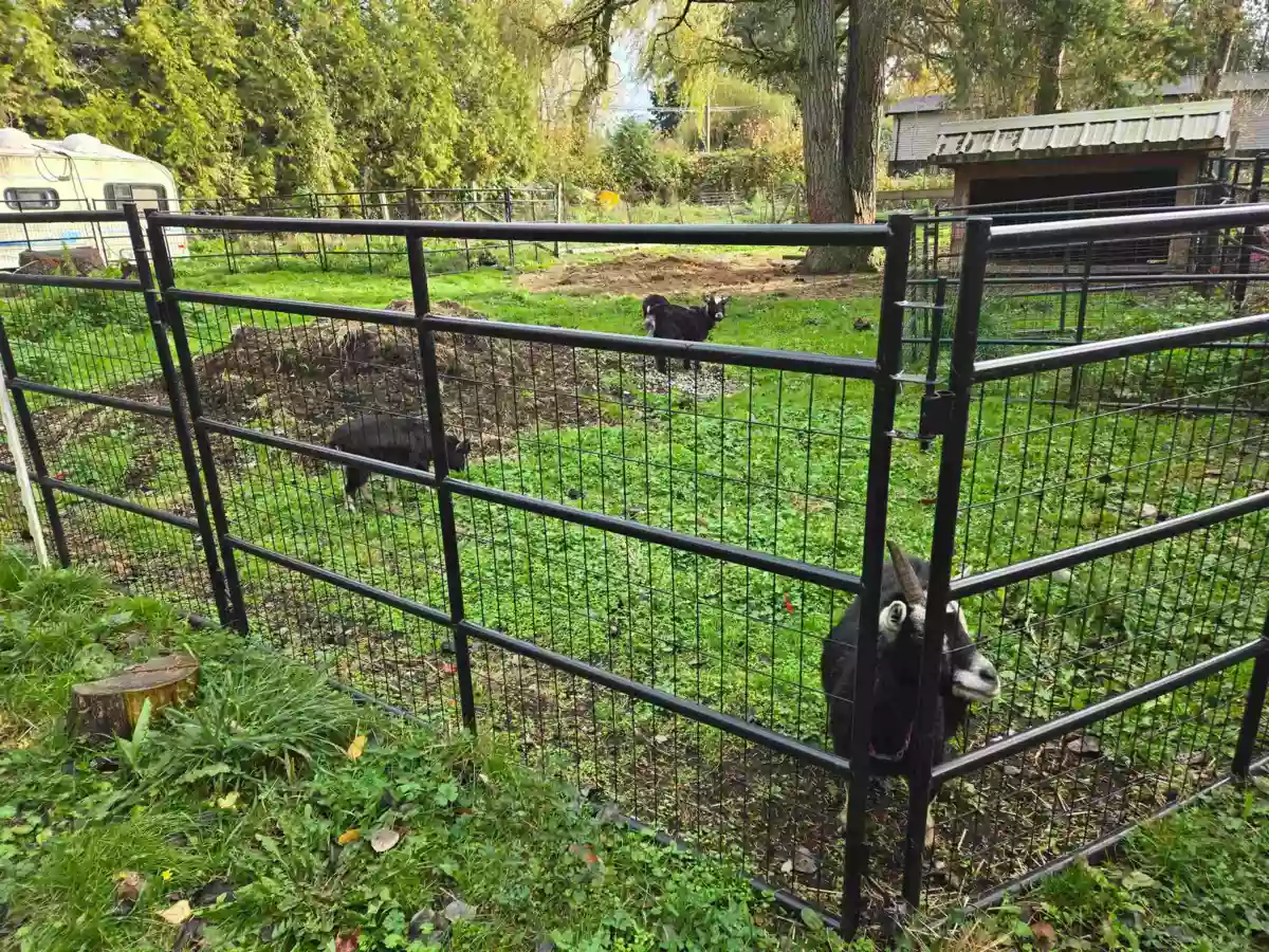 Bedroom 3 Photo of 2617 208 Street, Langley, BC